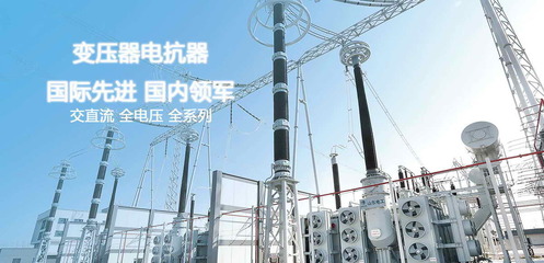 【企業(yè)官網(wǎng)】山東電工電氣集團